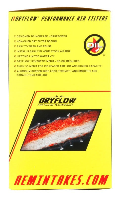 AEM Induction DryFlow Air Filter AIP21-2147DK