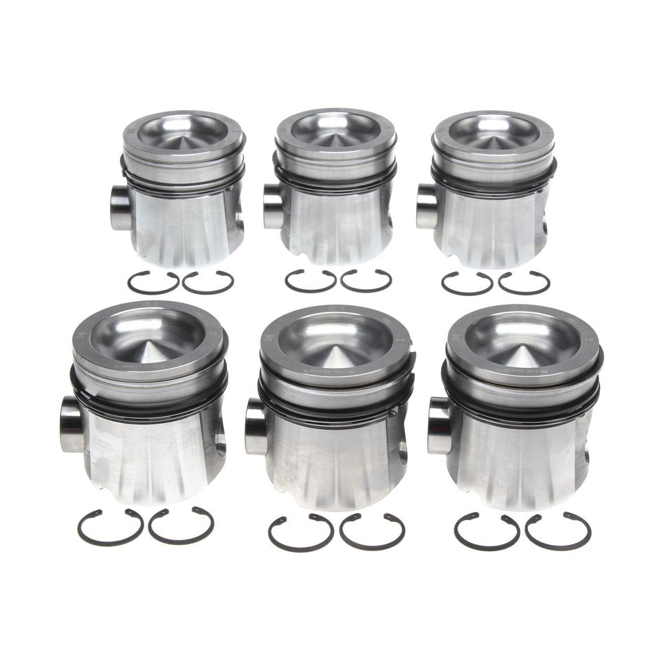 Pistons with Rings Set of 6 - 2243673WR020
