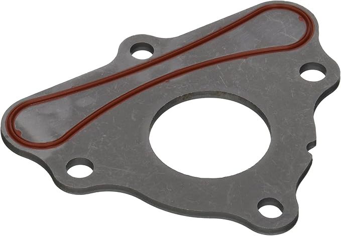 Seal GM LS Cam Plate Retainer 97-08 - B31822