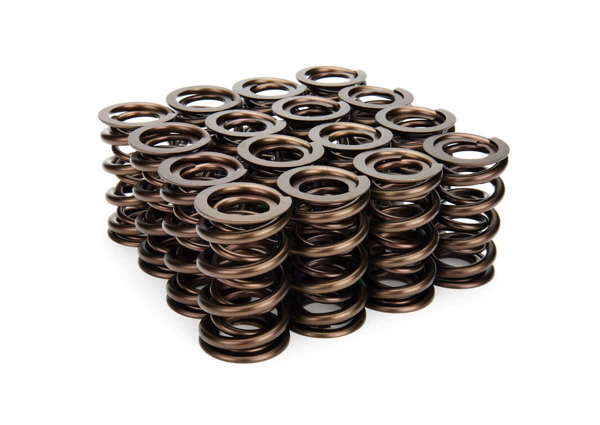 Valve Spring Set - 22142516