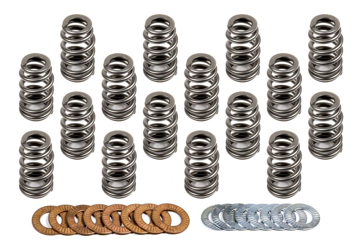 Valve Spring Set - 22143116
