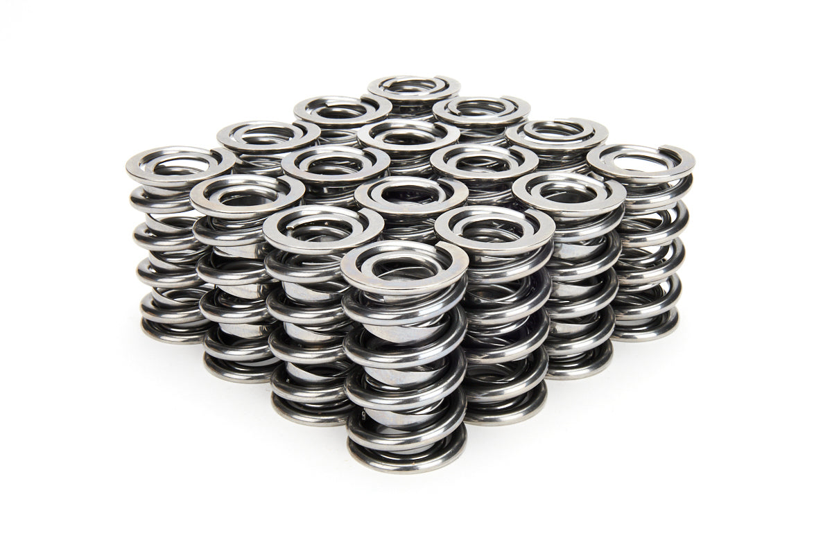 Valve Spring Set - 22143216