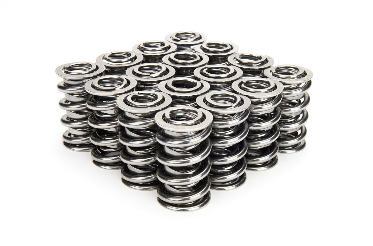 Valve Spring Set - 221441P16