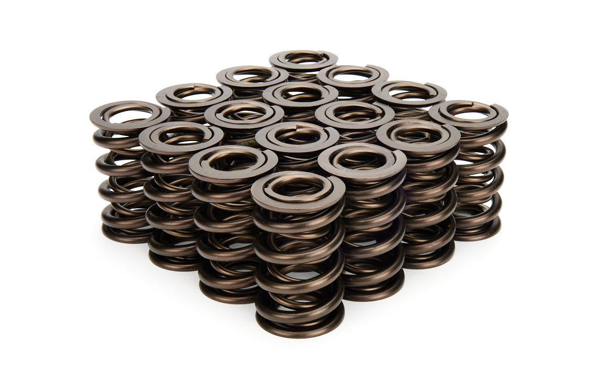 Valve Spring Set - 22144416