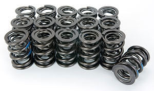 Valve Spring Set - 22144916