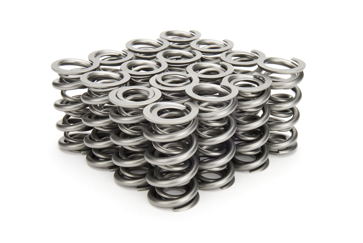 Valve Spring Set - 22145716