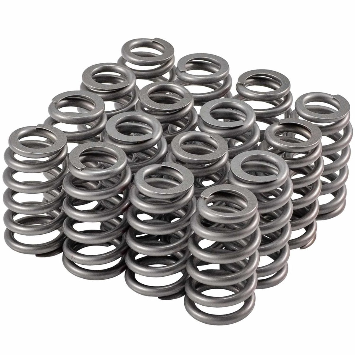Valve Spring Set - 4665216