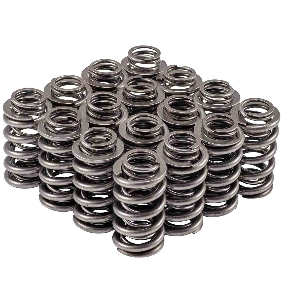 Valve Spring Set - 4665616