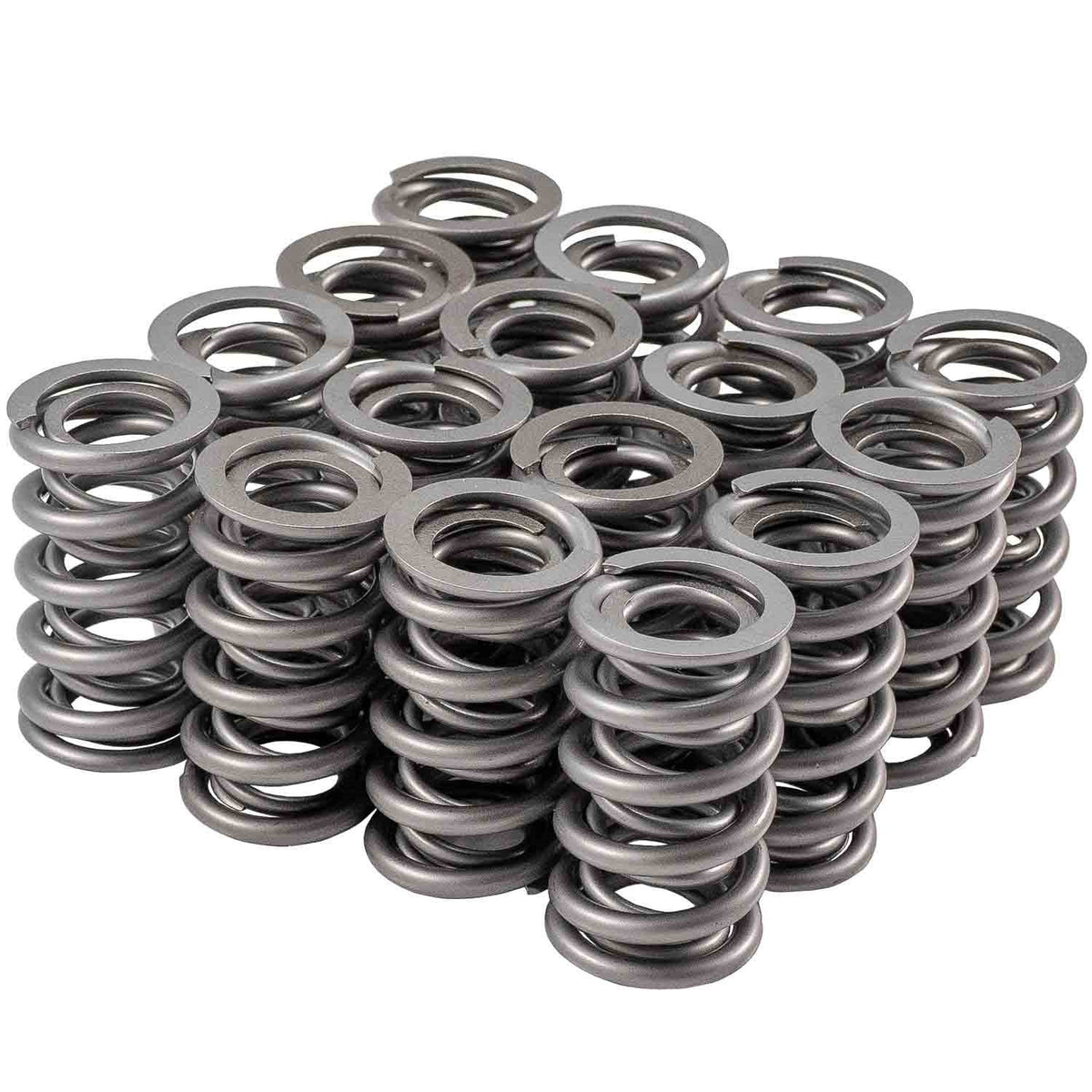 Valve Spring Set - 4665916