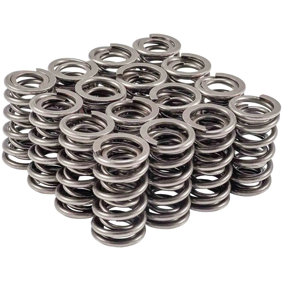 Valve Spring Set - 4667316