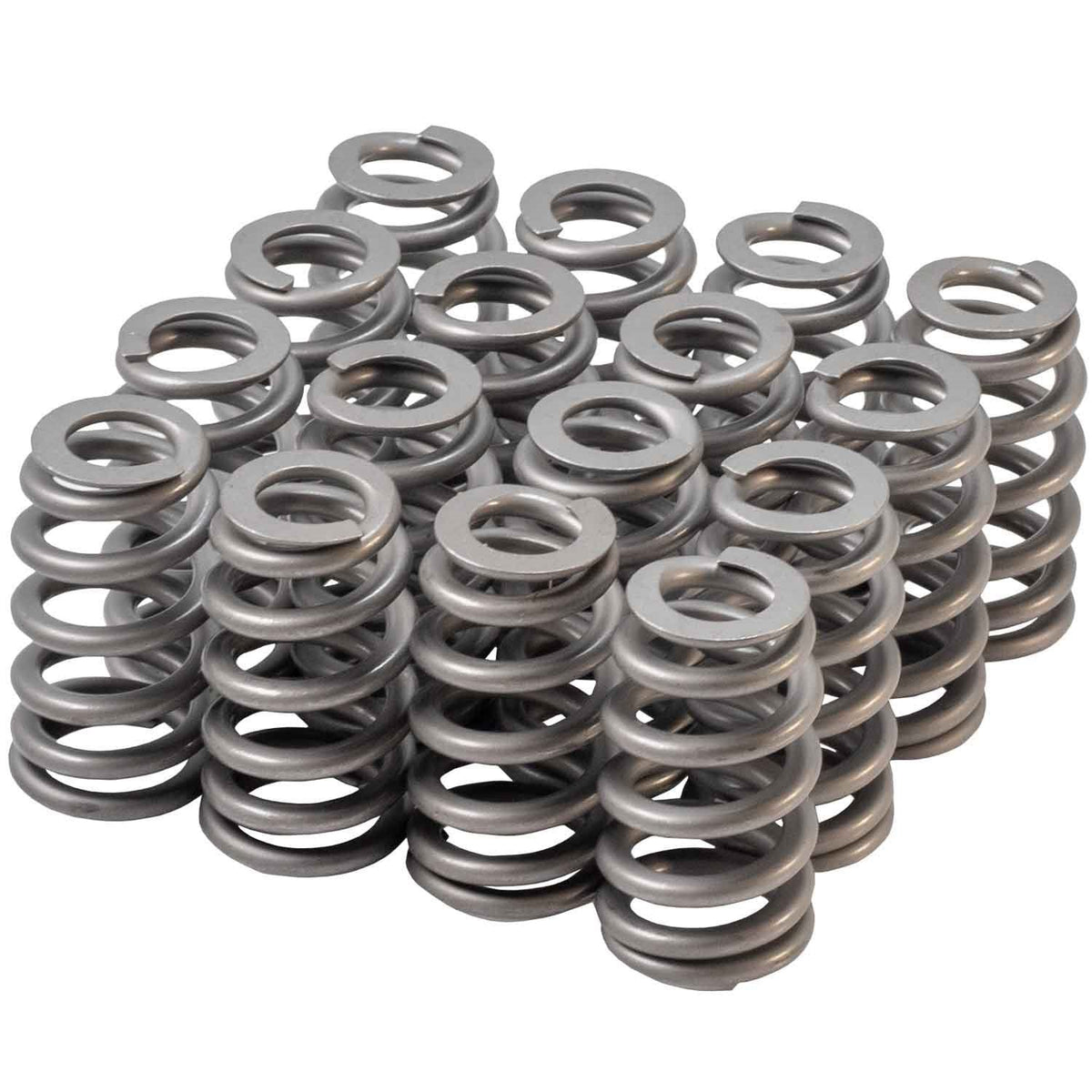Valve Spring Set - 4669416