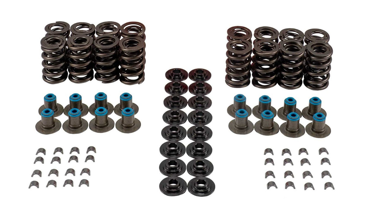 Valve Spring Kit - VSK461208