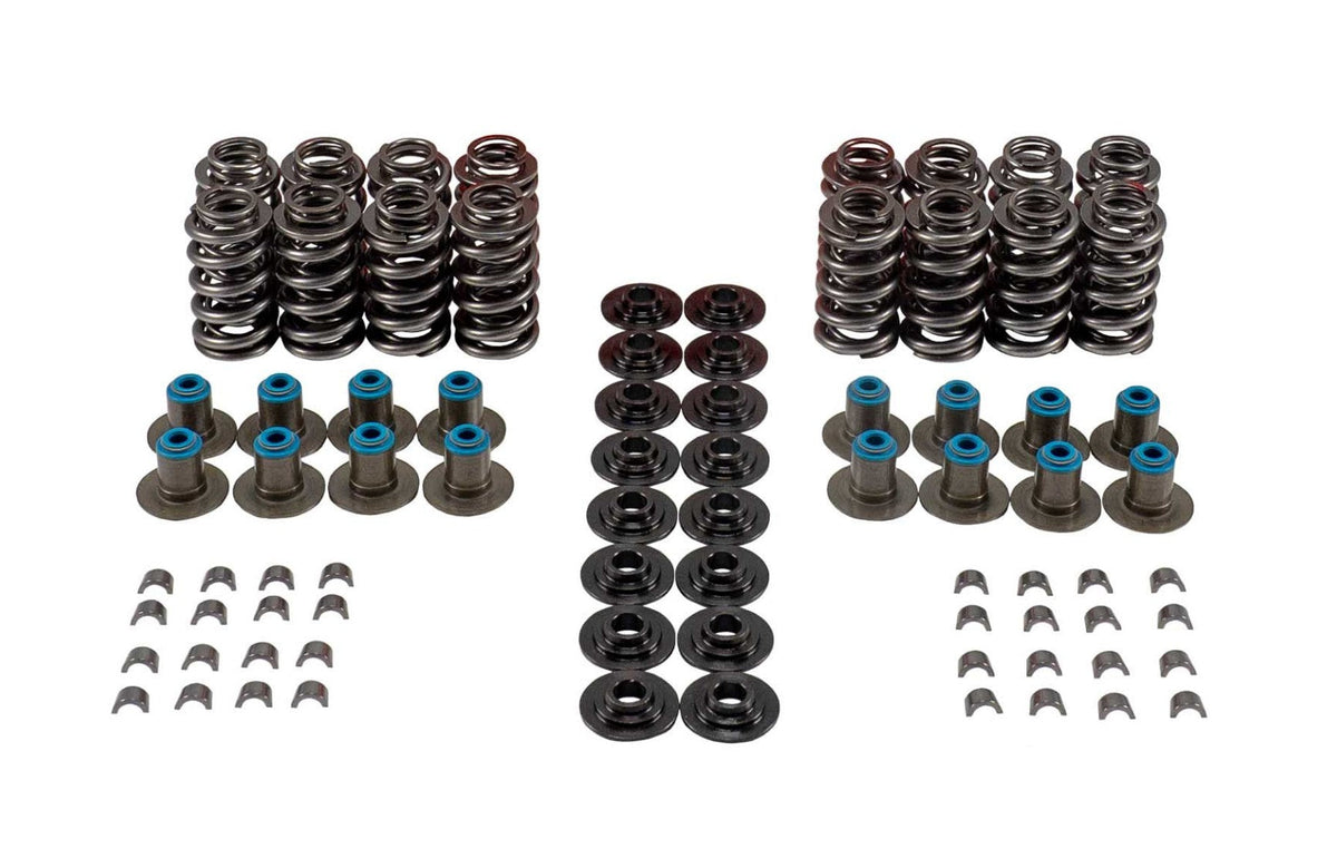 Valve Spring Kit - VSK46656