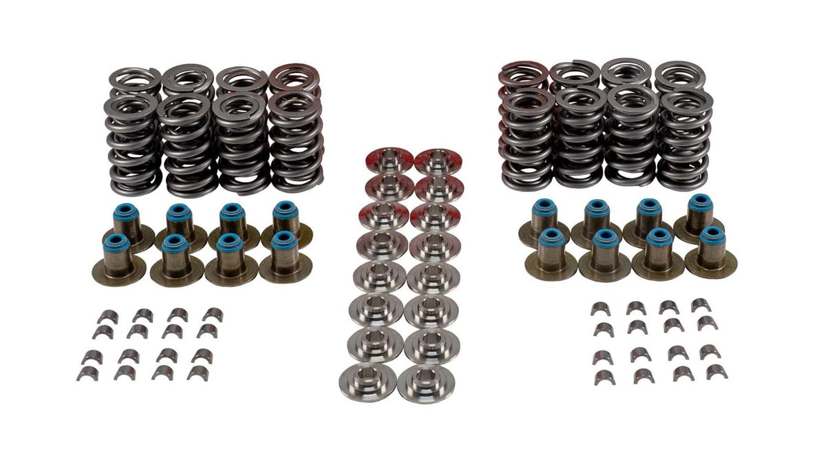 Valve Spring Kit - VSK46659T