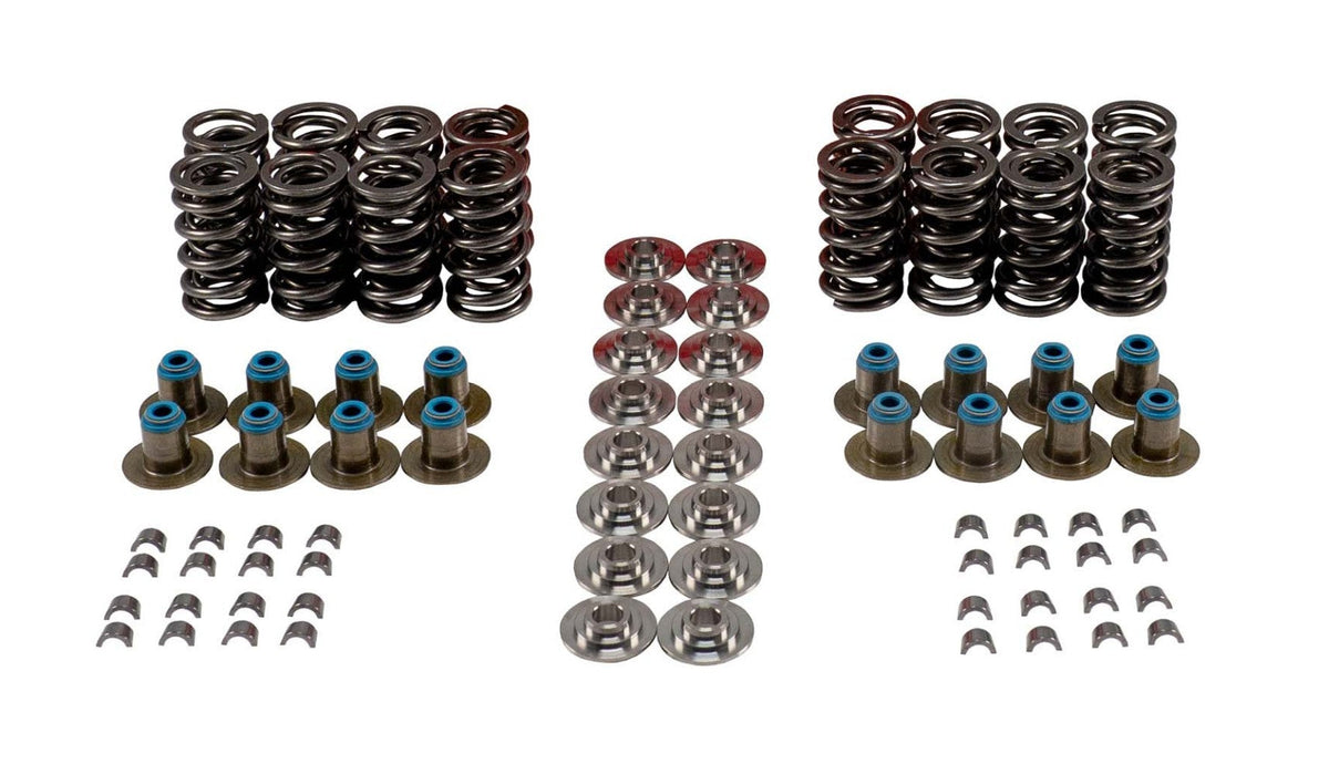 Valve Spring Kit - VSK46673T