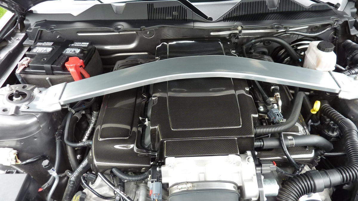 2005-2009 Ford Mustang GT Carbon Fiber  Plenum Cover