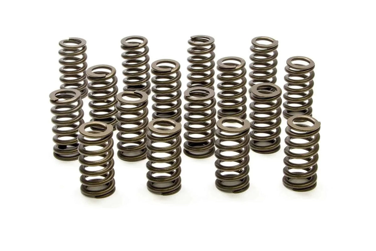 1.445 Valve Springs - Ovate Beehive (16) - PAC122016