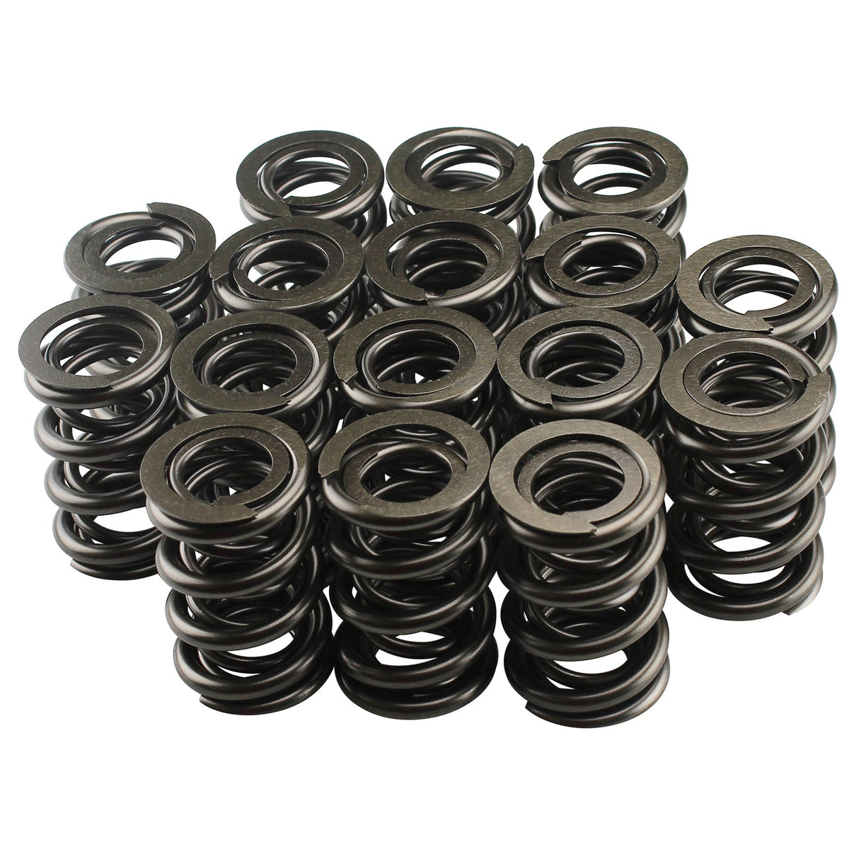 1.625 Dual Valve Springs (16) - PAC122416