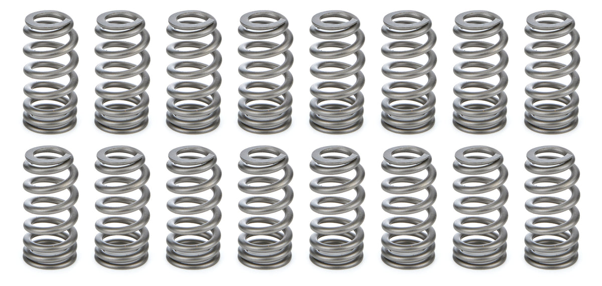 1.021 Valve Springs - Ovate Beehive (16) - PAC1234X16