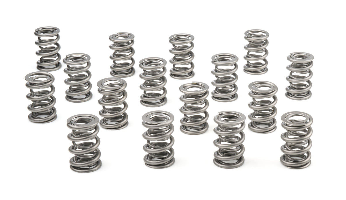 1.625 Dual Valve Springs (16) - PAC132416