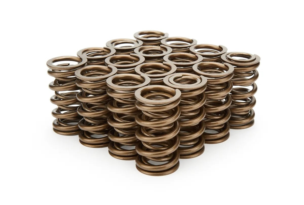 1.374 Dual Valve Springs (16) - PAC137116