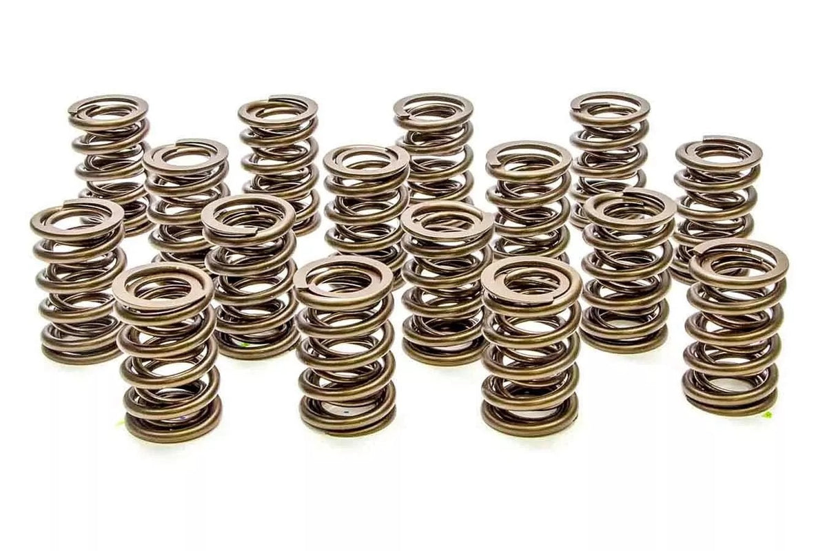 Valve Springs - HR Series (16) - PAC190816