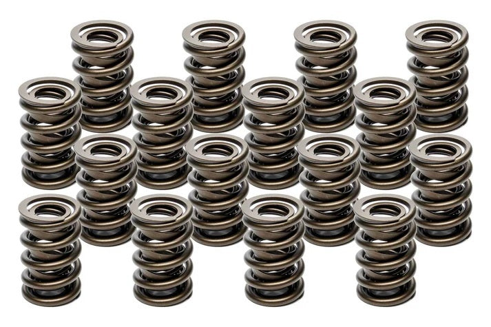 Valve Springs - HR Series (16) - PAC194016