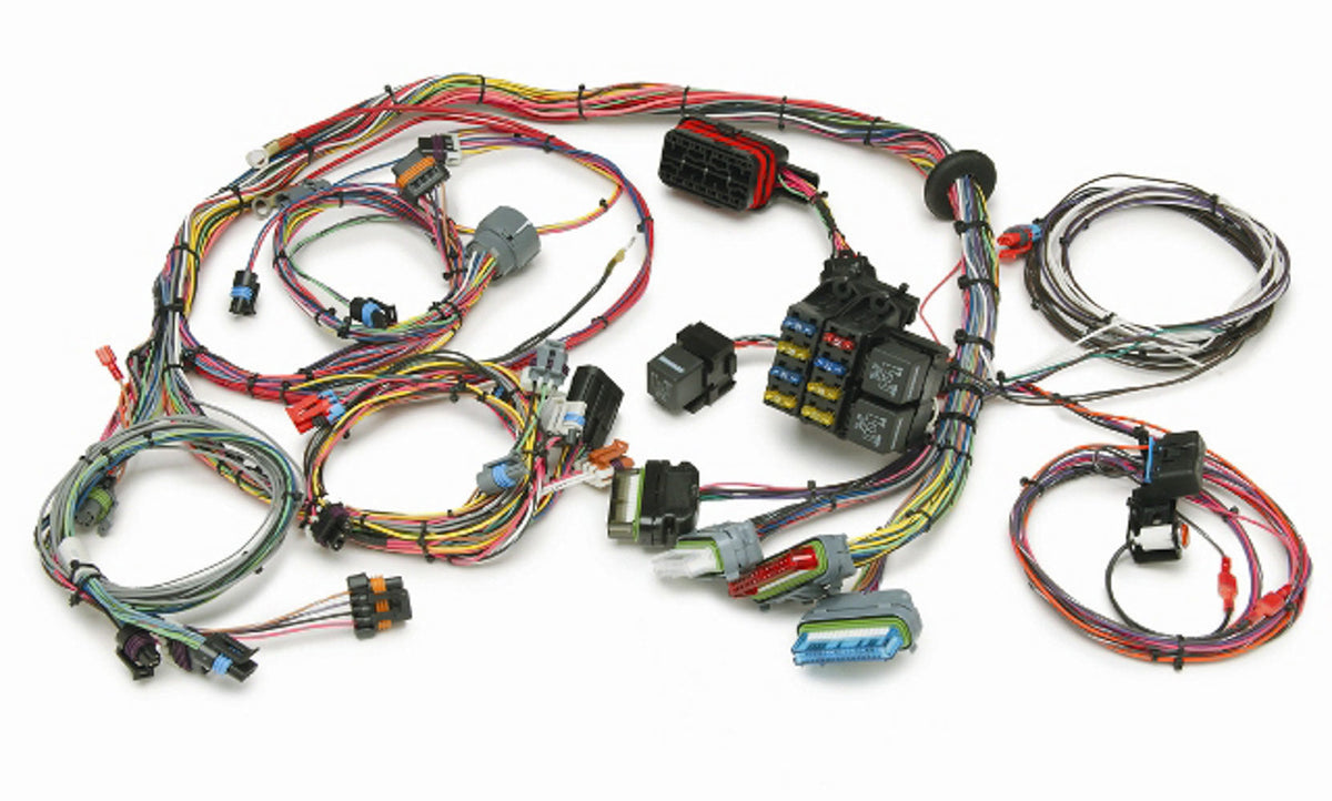 Sofi Standard - 60211