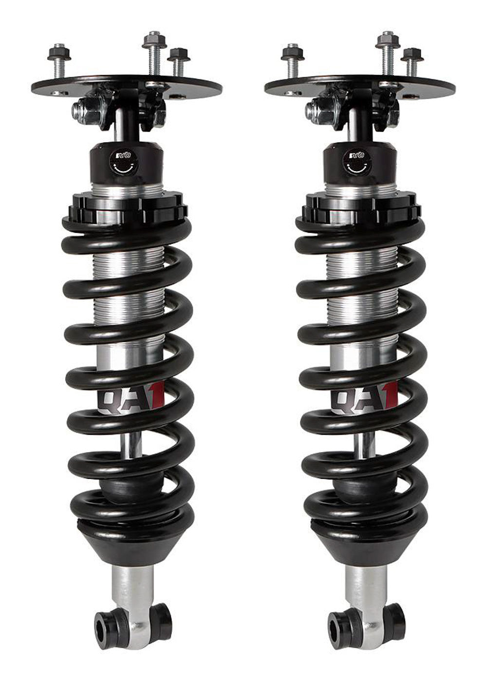 Shock Absorber and Coil Sprin - MS43109550