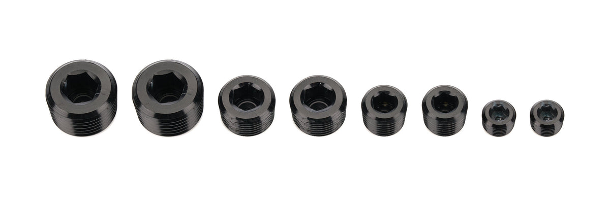 NPT Socket Head Pipe Plug Kit -02 -04 -06 -08 - 932002
