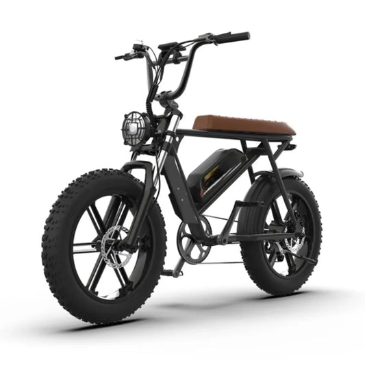 eBike Boys 750W Electric Bike - 48V 13Ah Lithium Battery, Aluminum Frame
