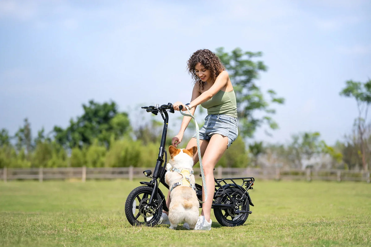 eBike Boys DYU-C3 Folding Electric Bike - Compact Aluminum Design