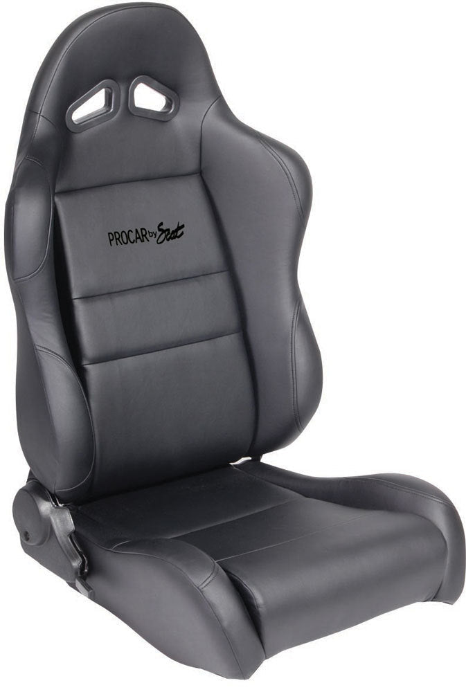 Black Synthetic Leather - 80161051R