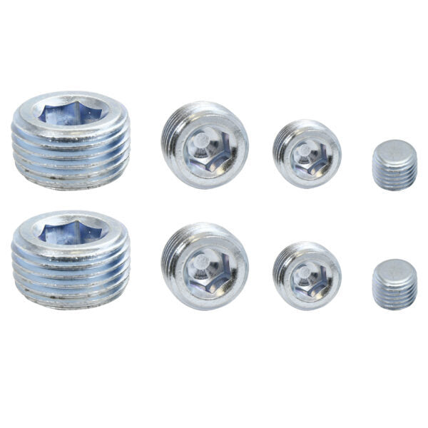 Pipe Plugs Allen Head Zinc 8Pcs. - 8250