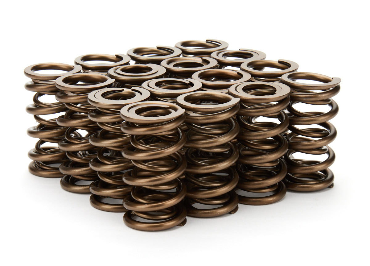 1.290 Dual Valve Springs 16pk - 1101821