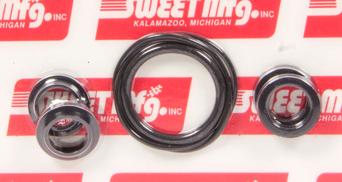 Seal Kit for 1-3/8in DP Cylinder - 33243230