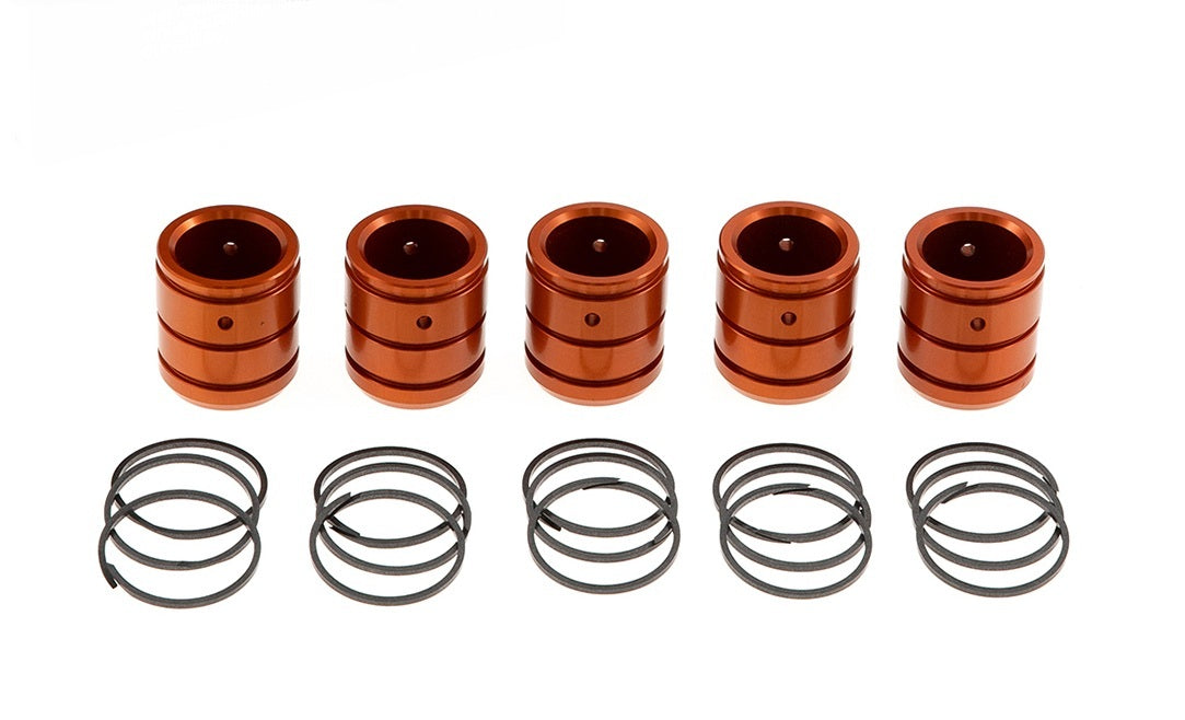 Accumlator Piston and Ring Kit - RFEACMPSTKIT