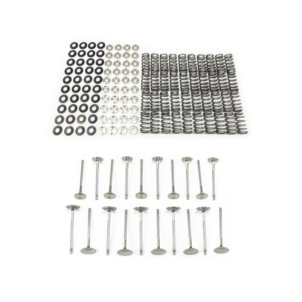 T1 R8/Huracan Valvetrain Kit