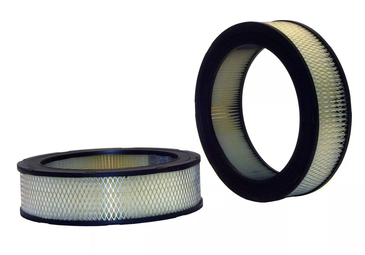 Air Filter - 42020
