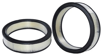 Air Filter - 42095