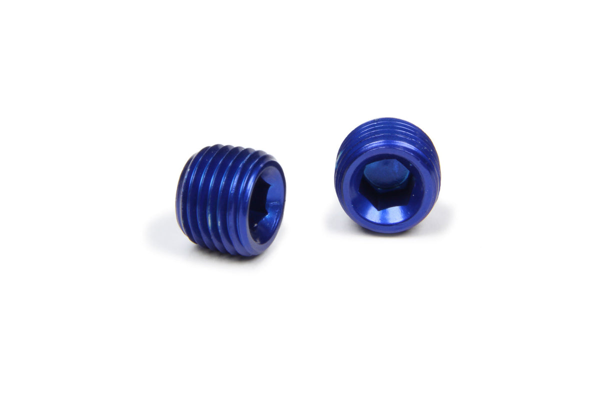 1/4in Allen Head Pipe Plug (2pk) - 993203