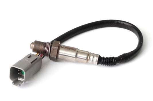 797 Performance, LLC Haltech Wideband O2 Sensor (Bosch LSU 4.2)