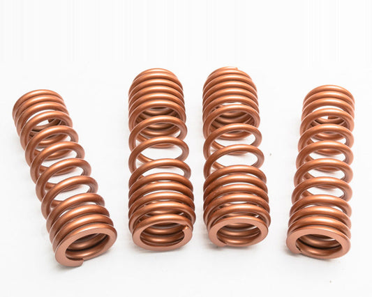 FR SPORT Agency Power AP McLaren 570s Lowering Springs AP-570S-200