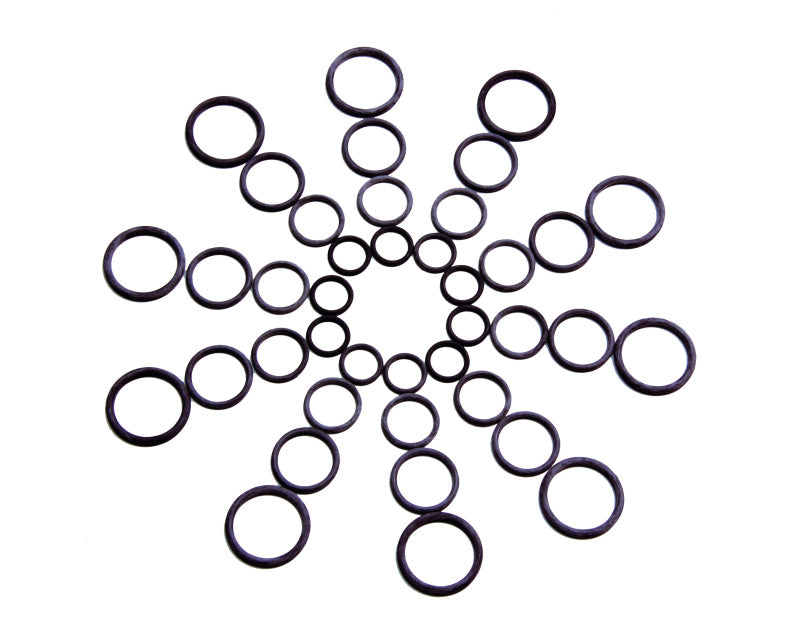 FR SPORT Aeromotive O-Ring Assortment - View 2