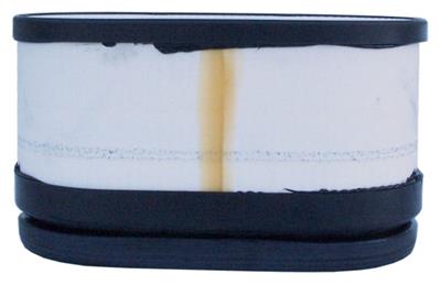 ACDelco Air Filter, Professional, Oval, Paper, White, Each - A3140C