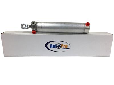Auto Pro USA, INC Cylinder, Convertible Top Component, Driver Side. Ford, Each - TC1041L
