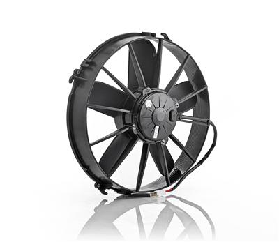 Be Cool Qualifier Fans - 75011