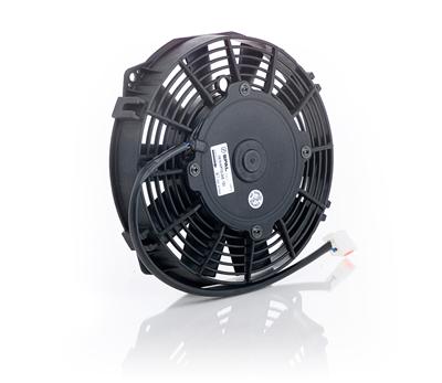 Be Cool Qualifier Fans - 75089