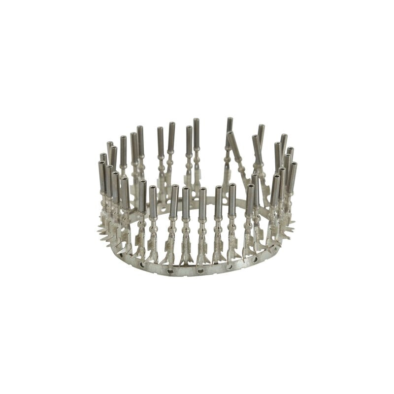 Replacement Connector Kit For BMS aem30-8401M and aem30-8401S