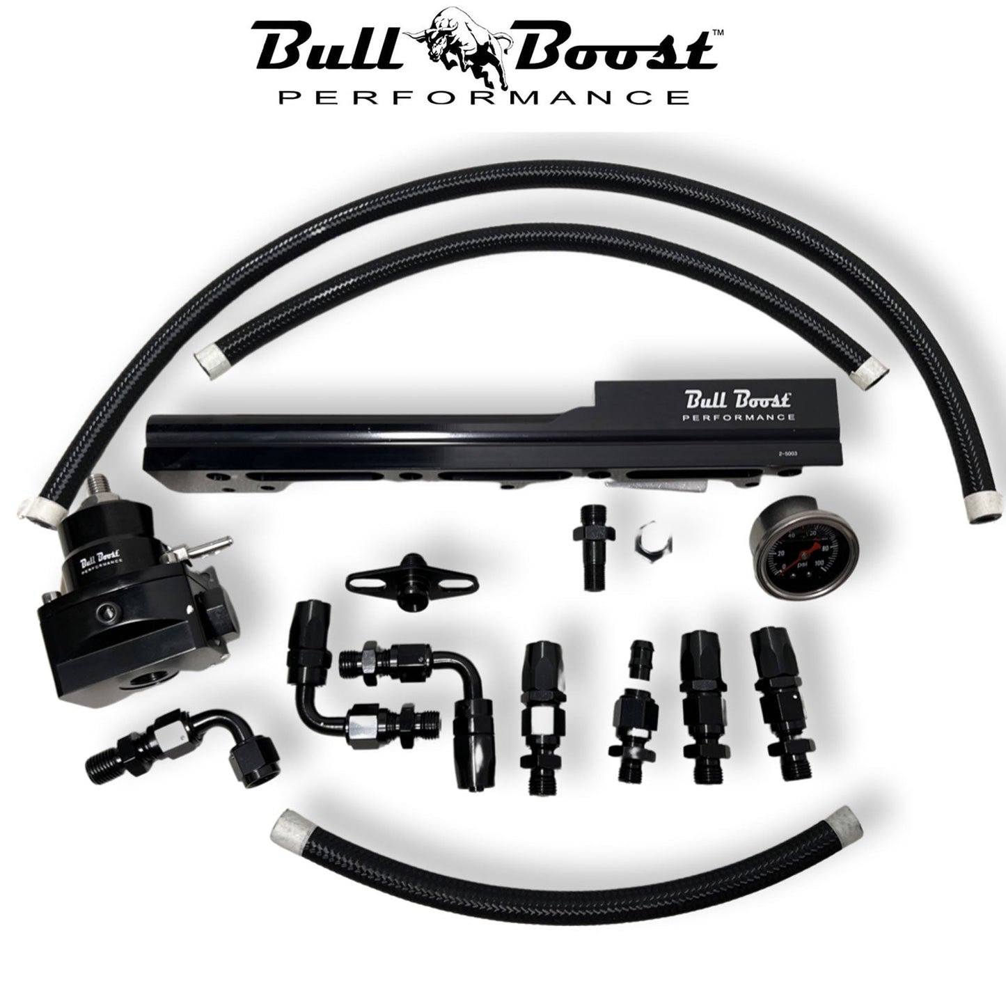 D Series Fuel Rail Civic SOHC Skunk2 Manifold FPR Gauge Line Hose D15 D16 D17